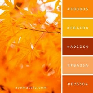 Ten Fall Color Combinations - County Road 407