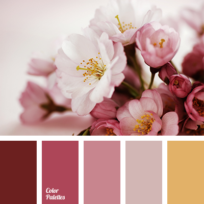 rich pink color  Color Palette Ideas