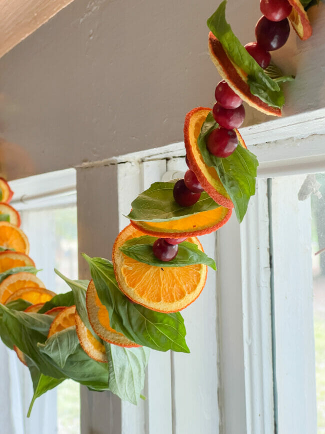 How to Make Dried Orange and Cranberry Garland {Tutorial}
