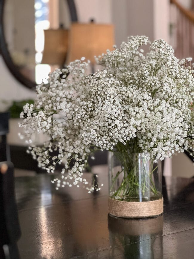 Baby's Breath flowers in a clear case sitting on a black table
