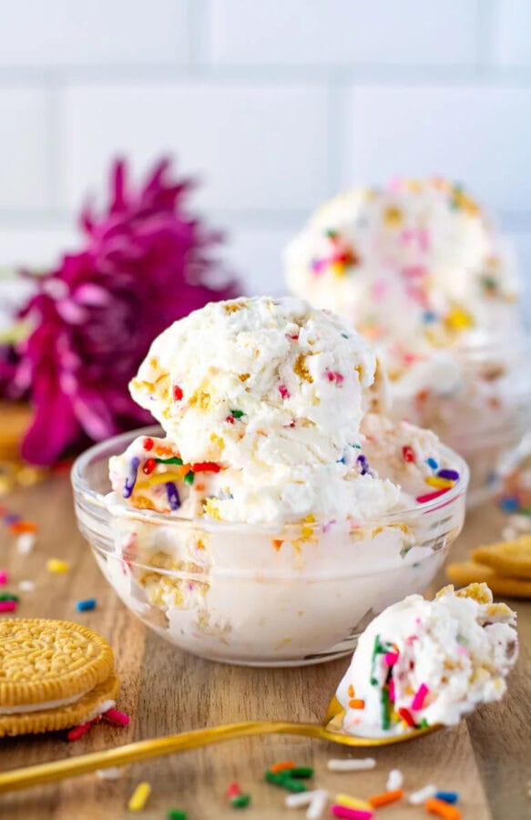 vanilla ice cream with sprinkles in a glass bowl and glass spoon