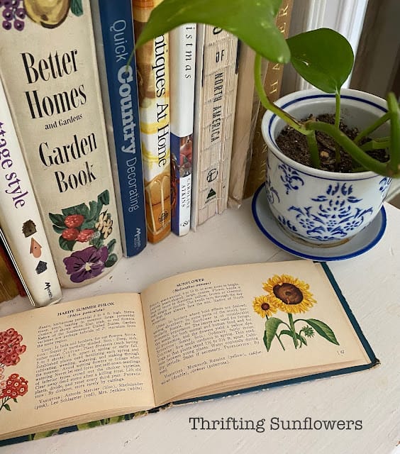 open book with a sun flower on page sitting next to a stack of books and a blue and white potted plant