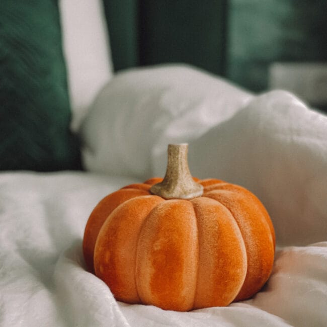 orange pumpkin on white blanket