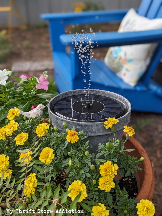 Potted yellow flowers with a solar fountain in pot and a blue chair in background