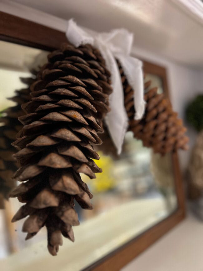 two large brown pinecones with a white velvet bow.