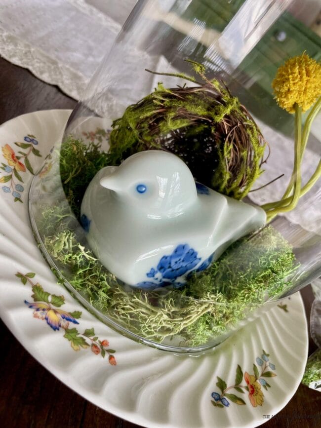 blue and white bird, moss and a nest under a cloche on a vintage floral plate.