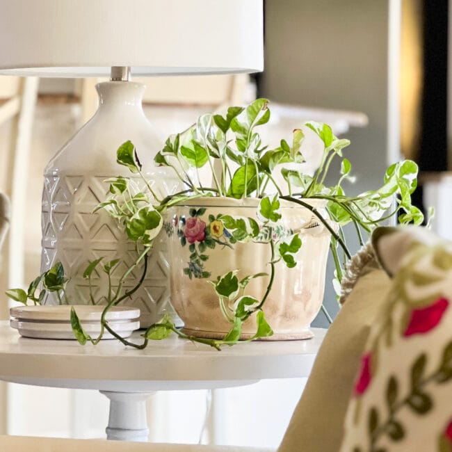 vintage canister with ivy inside sitting on a white table with a white lamp