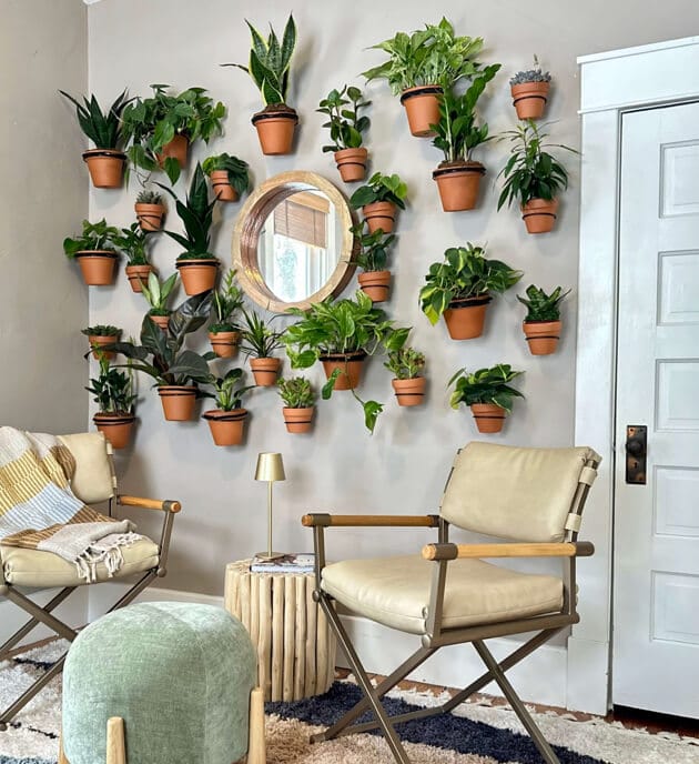 a wall in a home full of plants mounted to wall and a circular mirror in the middle of them all