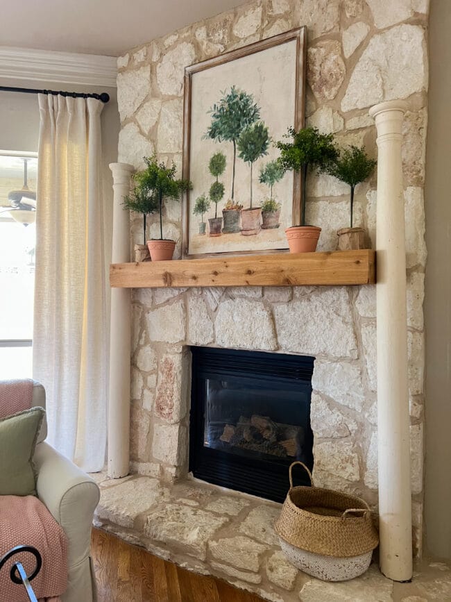 stone mantel with columns on sides and a topiary print with faux topiaries sitting on top